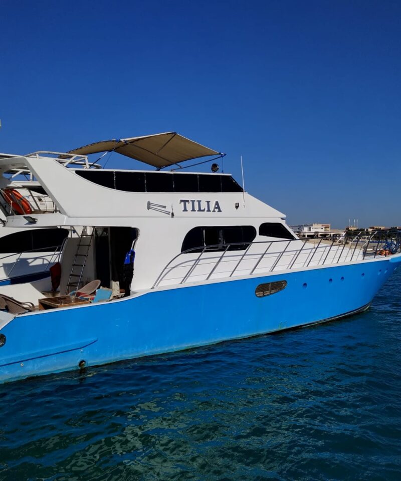 private boat trips hurghada snorkeling fishing