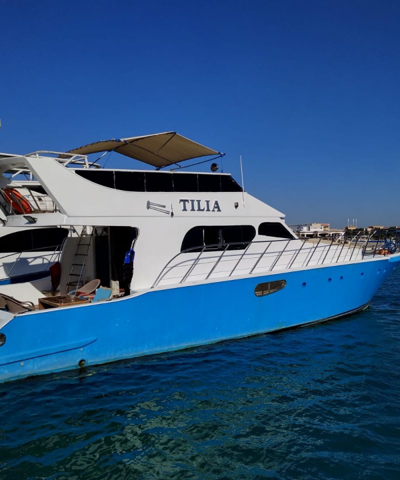 Private boat trip hurghada
